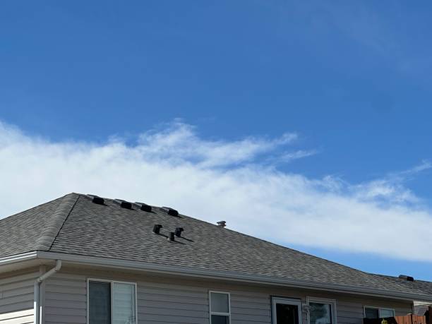 Best Flat Roofing  in Western Springs, IL